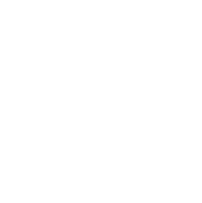 Flying Bean logo
