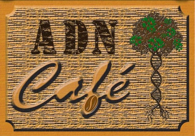 ADN café logo