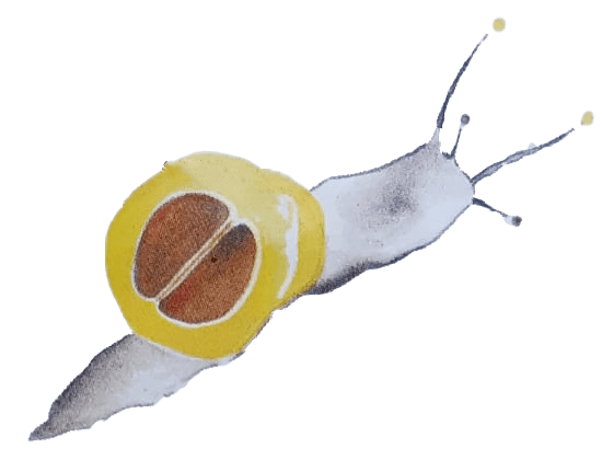 L'escargot d'or logo