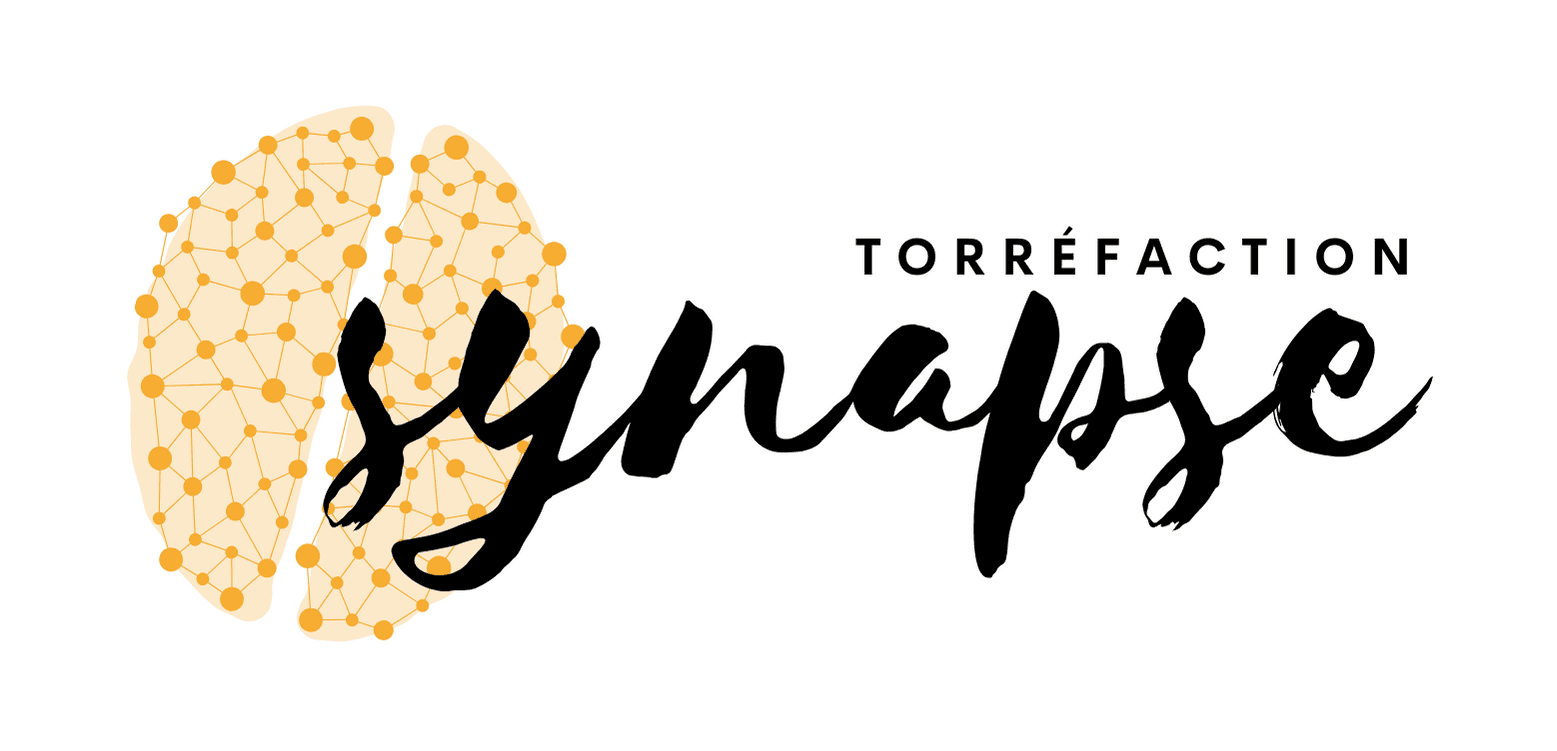 Synapse Torréfaction logo